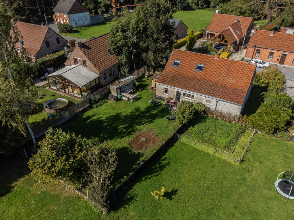 Maréchal Joffre 7 - Image 2